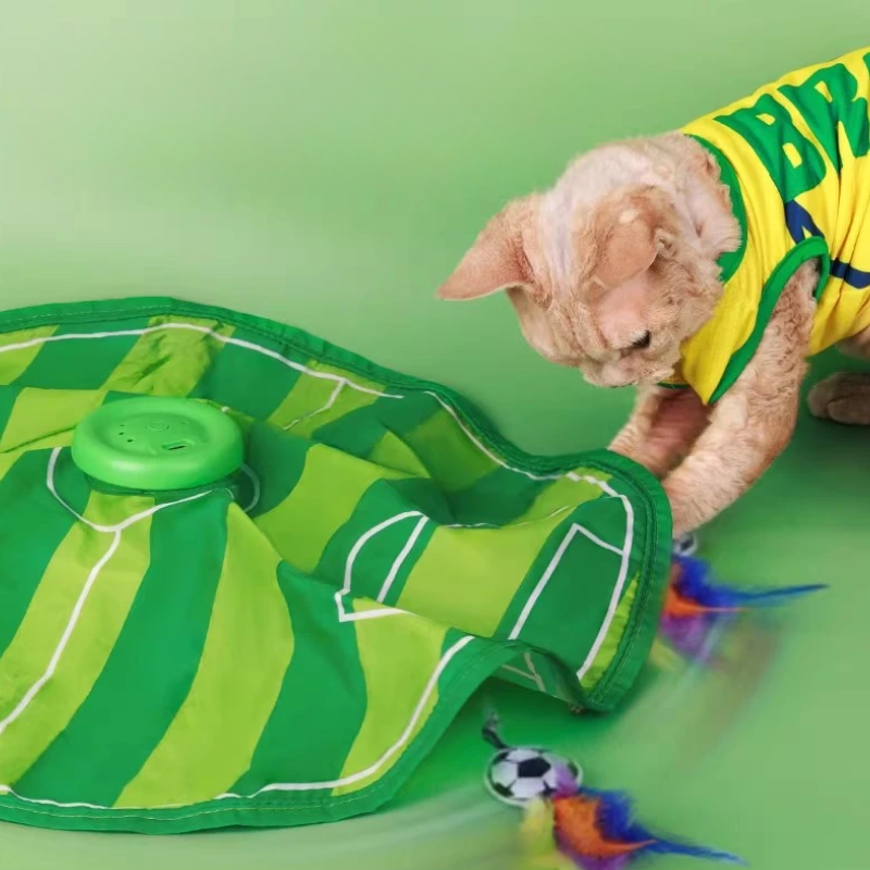Cat Interactive Feather Toys