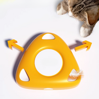 Driehoekig doolhofdoos kattenveer speelgoed