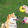 Indestructible Donut Dog Chew Toy