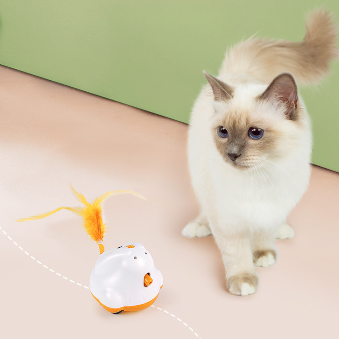 Elektrisches interaktives Katzenfederspielzeug mit Laserlichtern