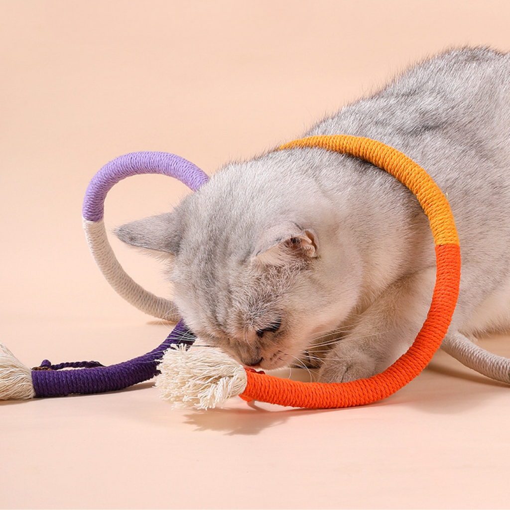 Interactive Cat Rope Chew Toys – Pawpycup