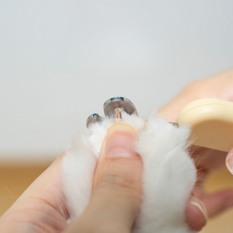 Haustier-Nagelknipser Scheren mit rundem Loch