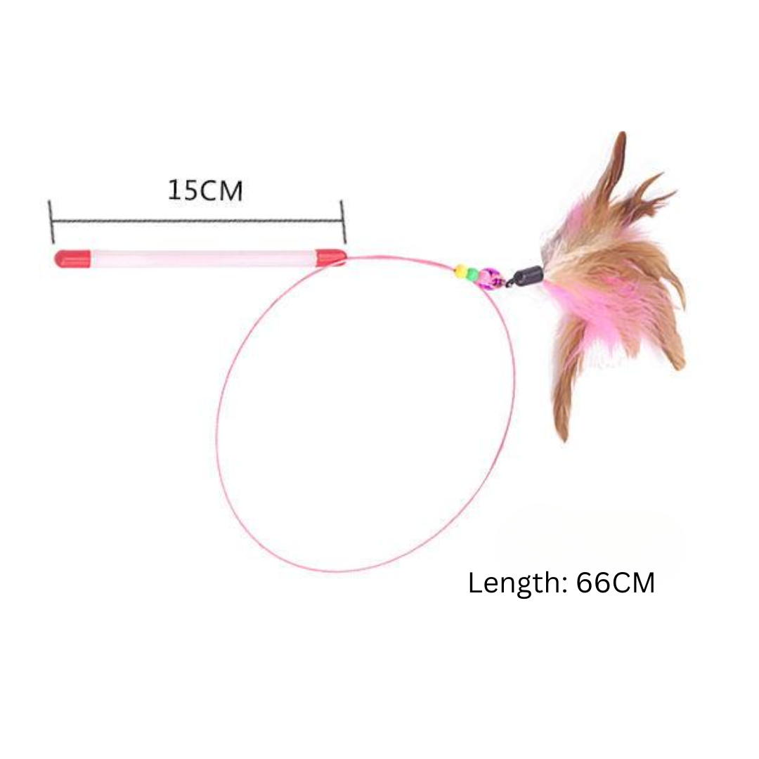 Interactive Feather Cat Teaser Toys