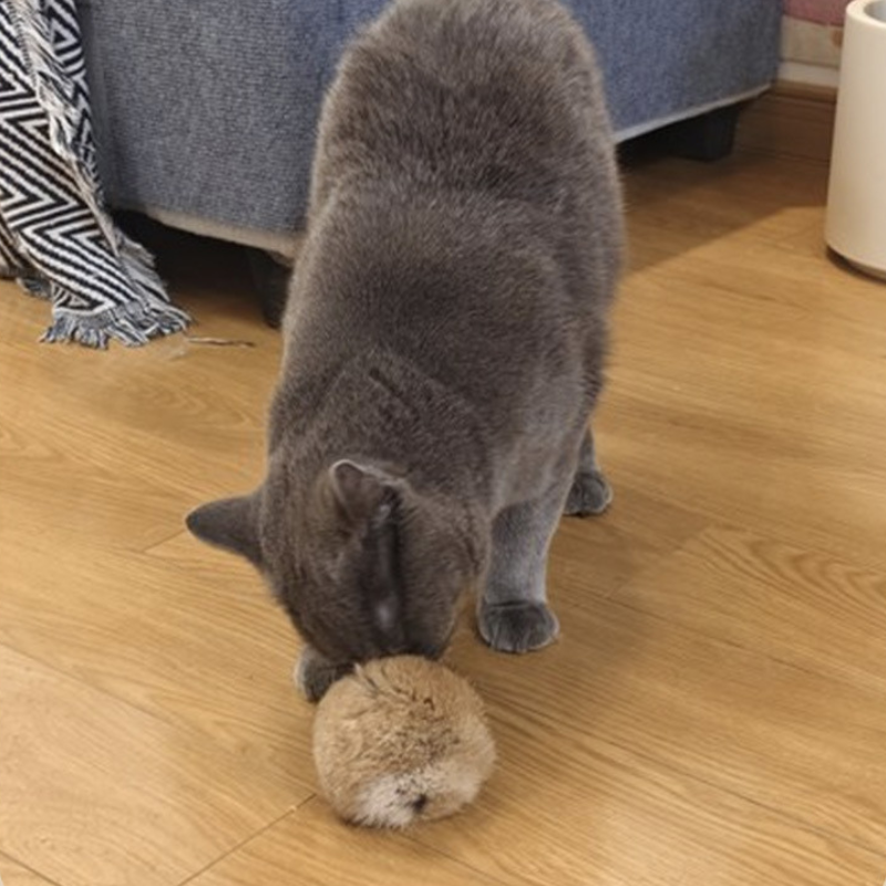 Pet Toy Fur Cat Ball Toy