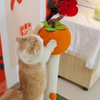 Persimmon-Themed Interactive Cat Scratching Post Toys