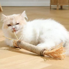 Kedi Nane Çubuk Oyuncakları Çiğniyor