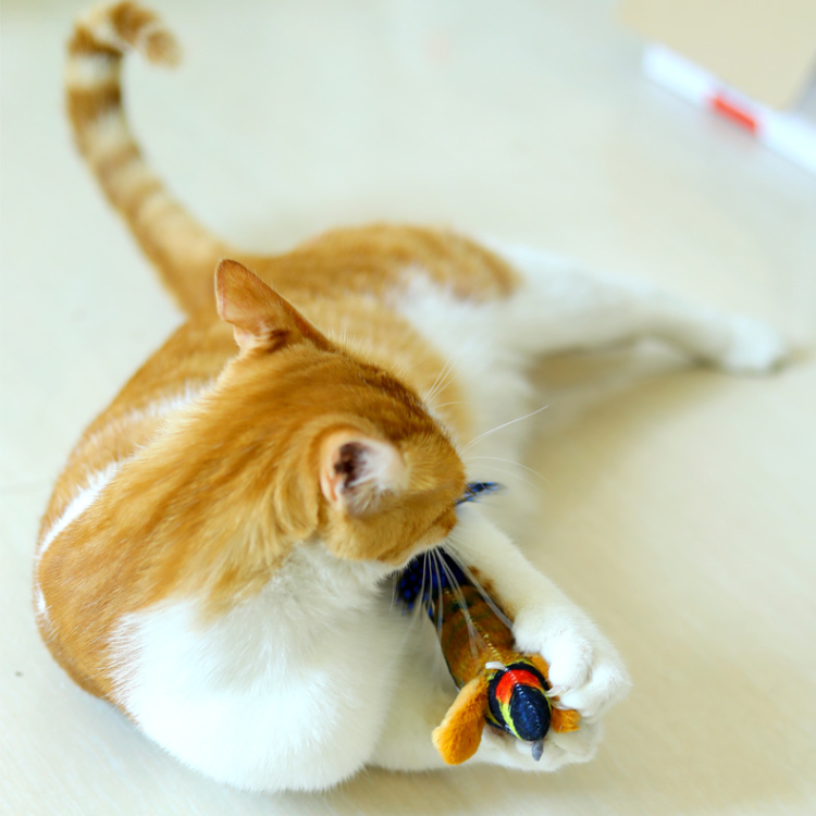 Brinquedos interativos para gatos com som de pássaro realista e pena