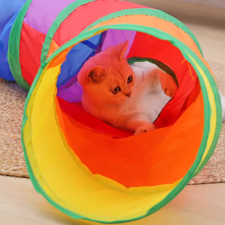Jouets tunnel pliables pour chats pour chats d'intérieur