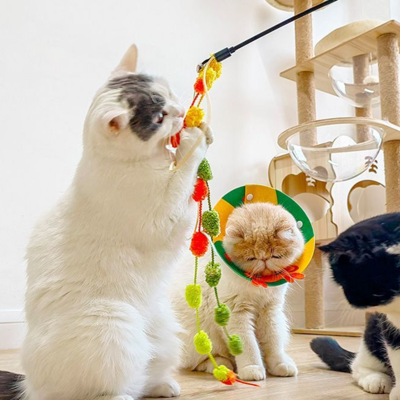 Katzenspielzeug Teaser-Stäbe bunte Pompons