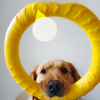 Giocattoli ad anello a forma di pallina per masticare per cani