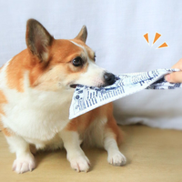 Juguetes de periódico con sonido de papel arrugado para mascotas