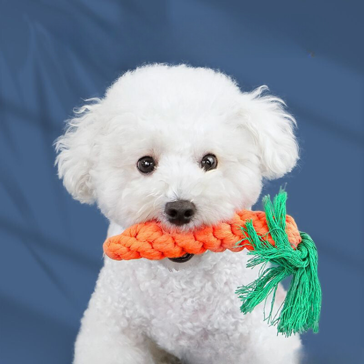 Juguete tejido con nudo de zanahoria para perro mascota