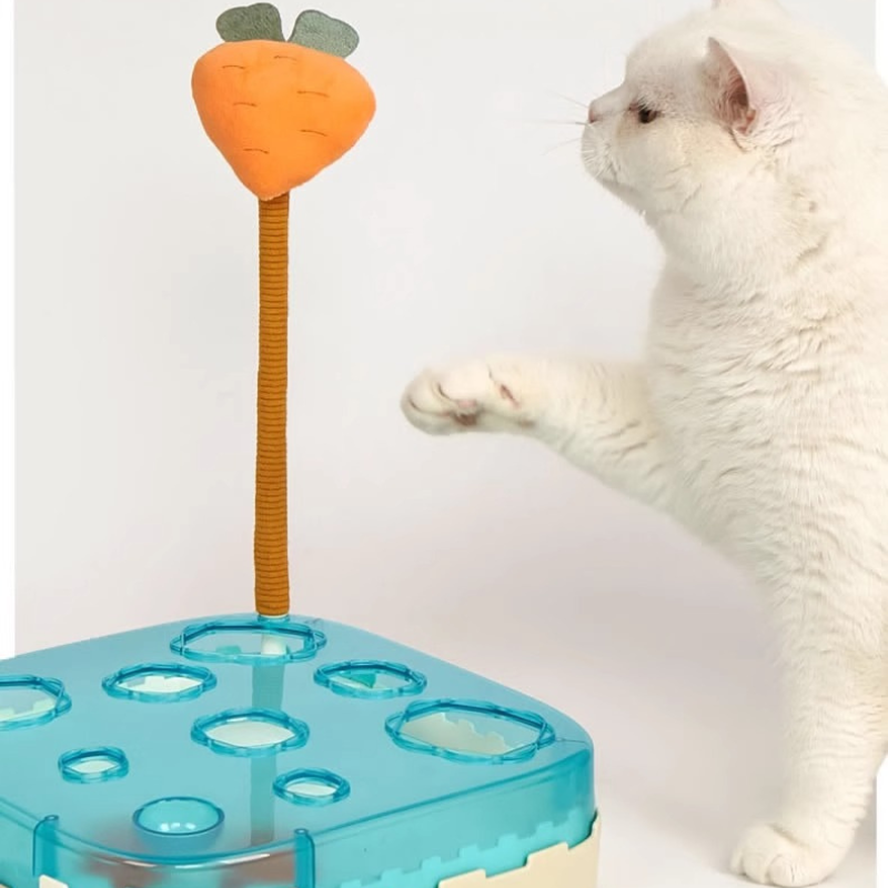 Electric Cat Ball Toy Box