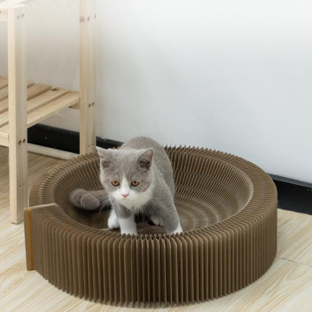 Magic Cat Bed Scratching Board Interactive Cat Toy