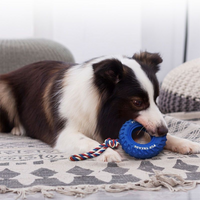 Honden kauwen op touw speelgoed voor touwtrekken