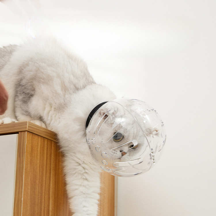 Focinho de gato respirável para cuidar do capacete do gato Capa de boca do gato