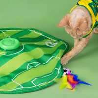 Cat Interactive Feather Toys