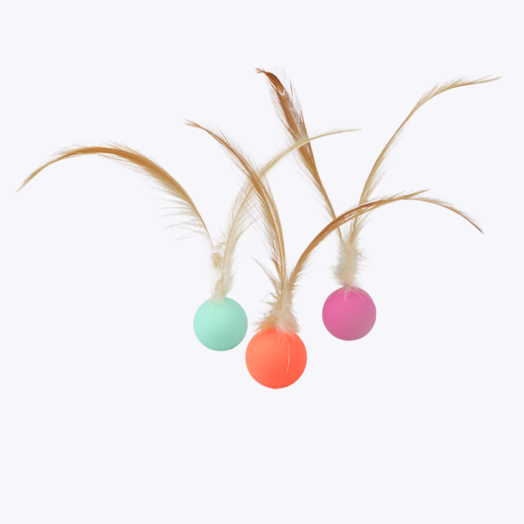 Interactive Elastic Jumping Ball With Feather – Pawpycup