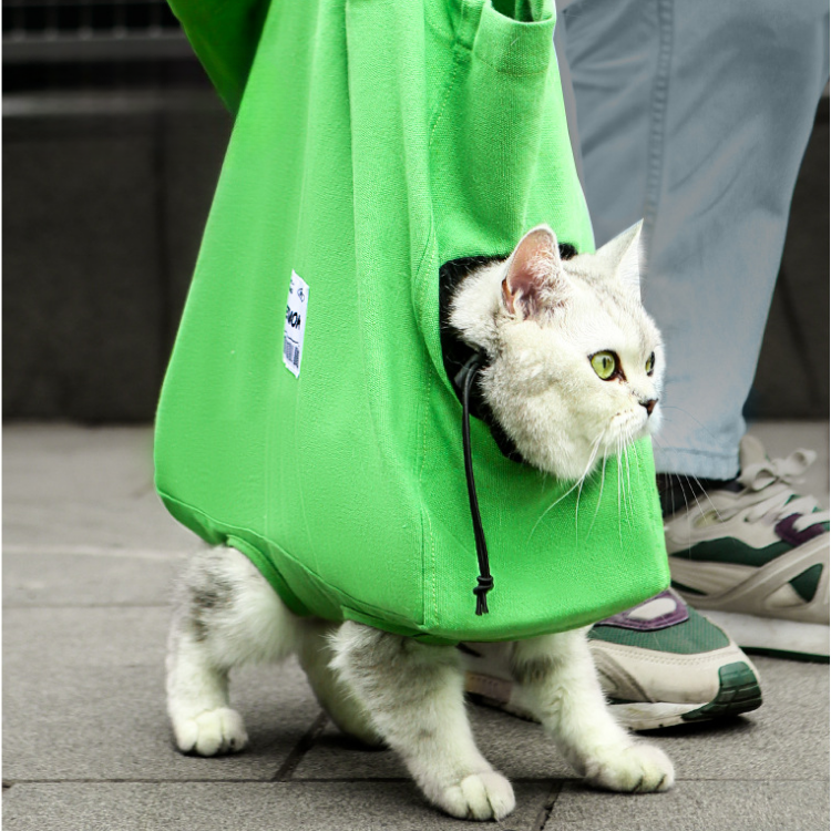 Borsa da trasporto per gatti in tela per passeggiate
