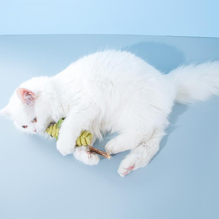 Brinquedos de vara de catnip para gato com ratinho de pelúcia