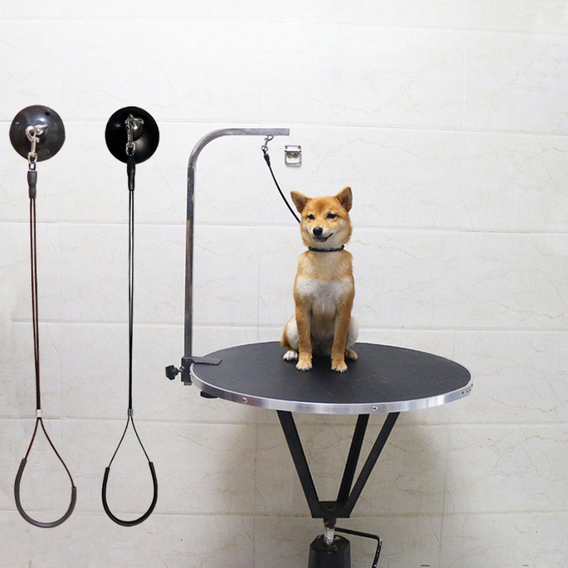 Pet Bathing Tether with Suction Cup Cat Restraint Loops Rope