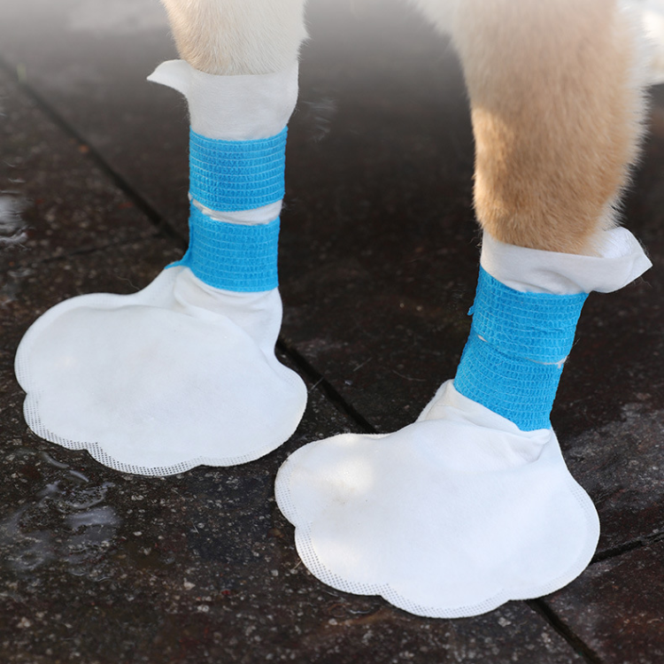 Pet Paw Disposable Covers