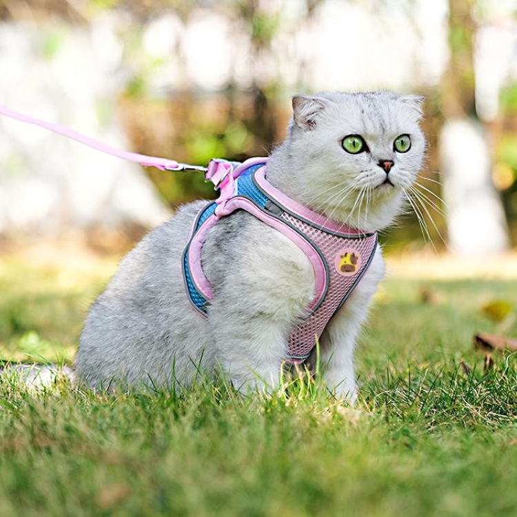 Mesh Reflective Cat Harness Leash