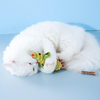 Jouets de bâton d'herbe à chat de souris en peluche