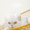 Bozal de gato transpirable para el cuidado del casco del gato cubierta de la boca del gato