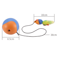 Cat Rolling Ball Toys With Mouse Feather