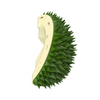 Cepillo de aseo para gatos Durian con hierba gatera