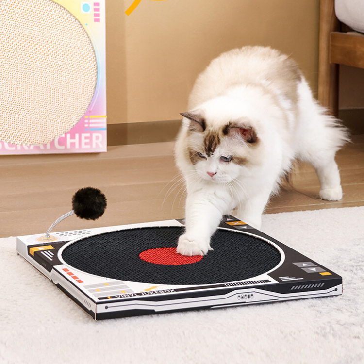 Record Player Cat Scratching Board