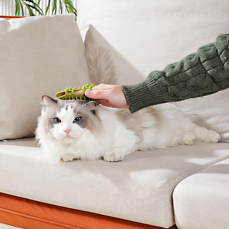 Silicone Cat Self Grooming Brush Removes Loose Hair