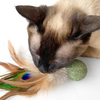 Catnip Ball Toys with Feather