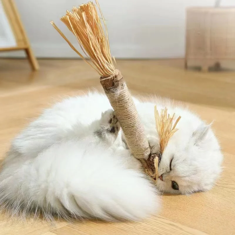 Gato mastigando brinquedos de graveto de erva-do-gato