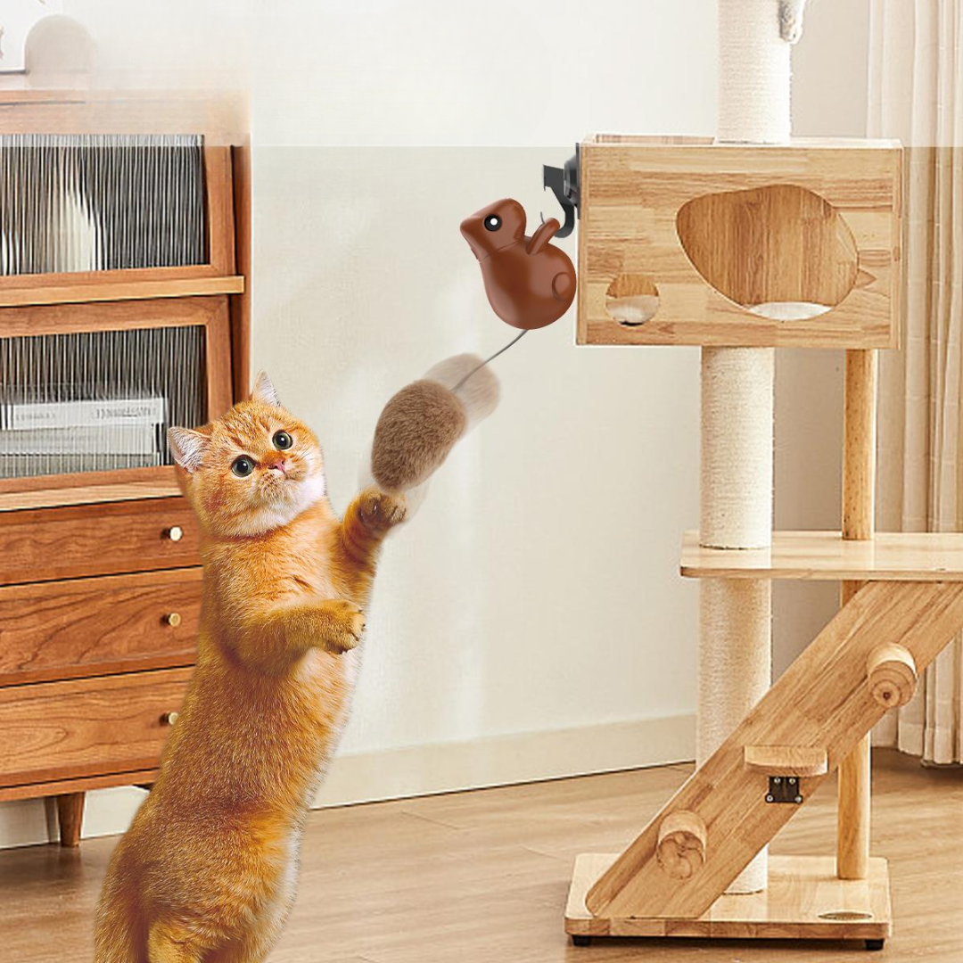 Interaktives hängendes Eichhörnchen-Katzenspielzeug