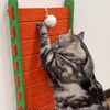 Wall-Mountable Cat Scratching Ramp with Toy