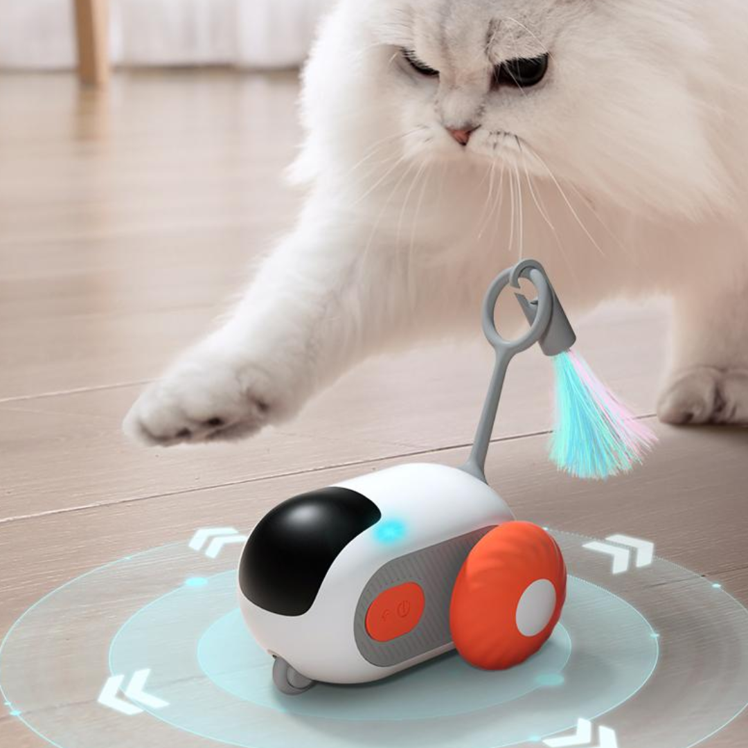 Kediler İçin Elektrikli Otomatik Yarış Arabası Oyuncakları