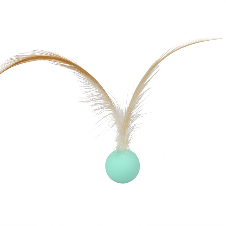 Interactive Elastic Jumping Ball With Feather – Pawpycup