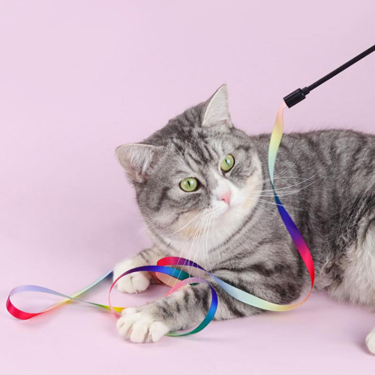 Giocattolo teaser per gatti con nastro arcobaleno