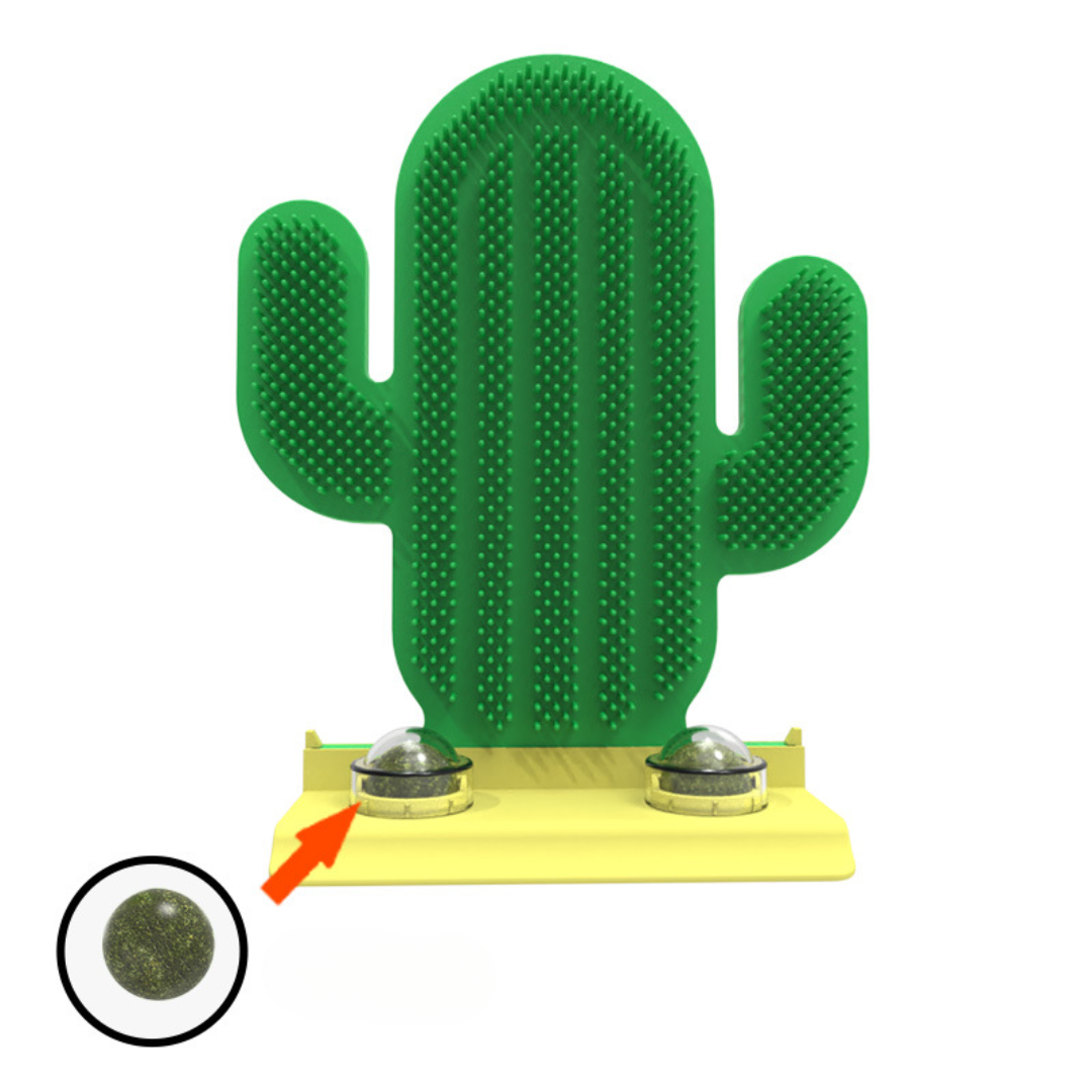 Cactus Kattenverzorgingsborstel met Kattenkruid