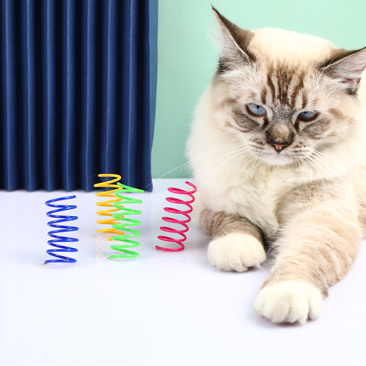 Giocattolo a molle colorate per gatti domestici