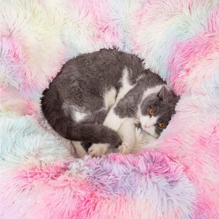 Letto a tunnel per gatti pieghevole con tappetino centrale