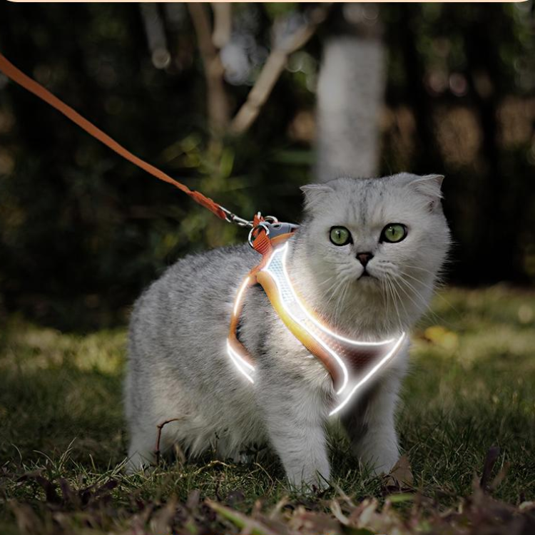 Mesh Reflective Cat Harness Leash