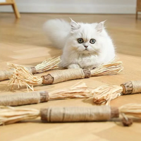 Kat kauwt op kattenkruid stok speelgoed
