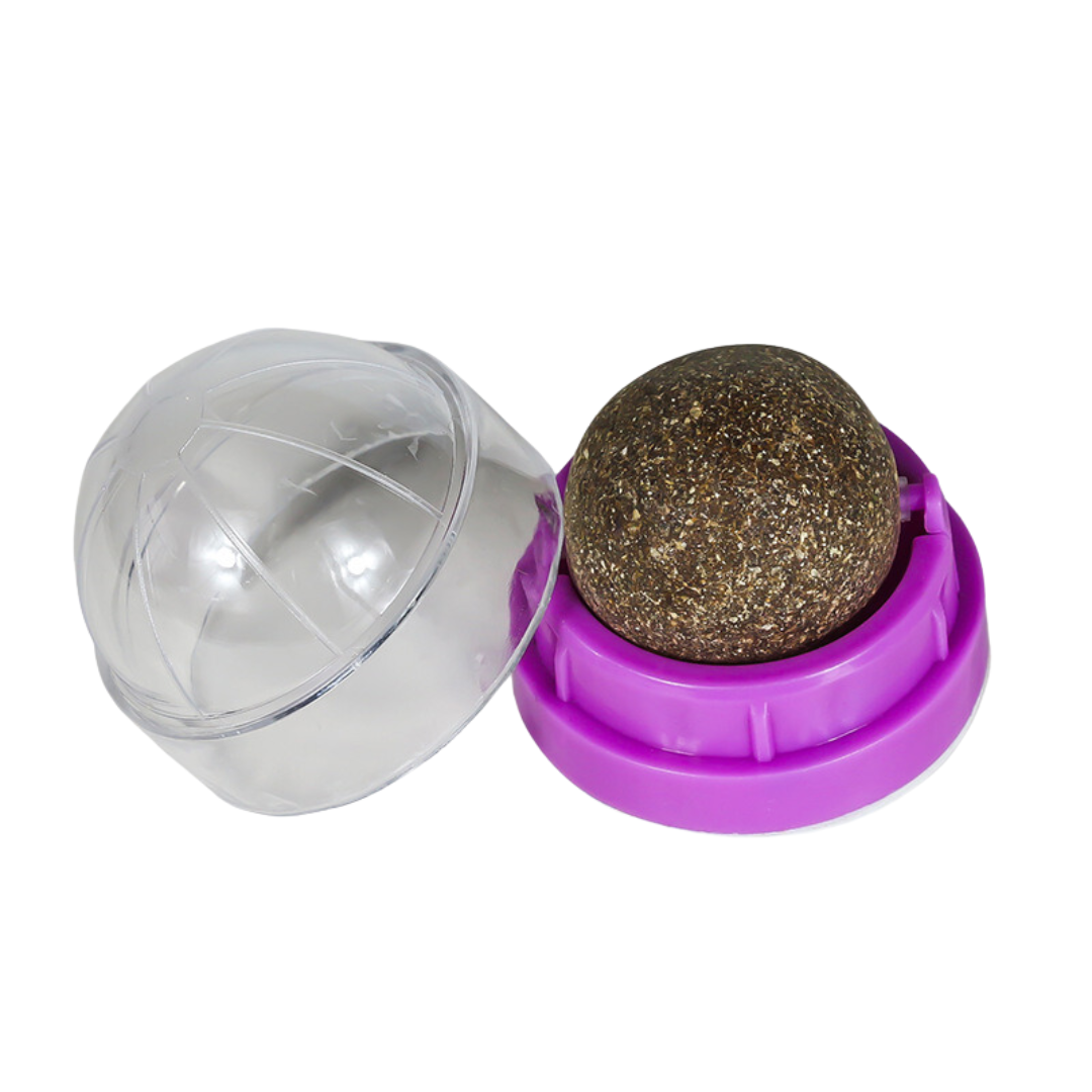 Retractable Rounded Ball Toy Round Spinning Catnip Treats Ball Toys – Pawpycup