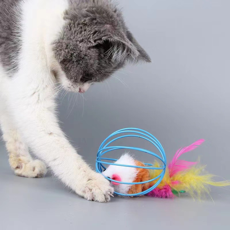 Brinquedos de bola de penas para gatos