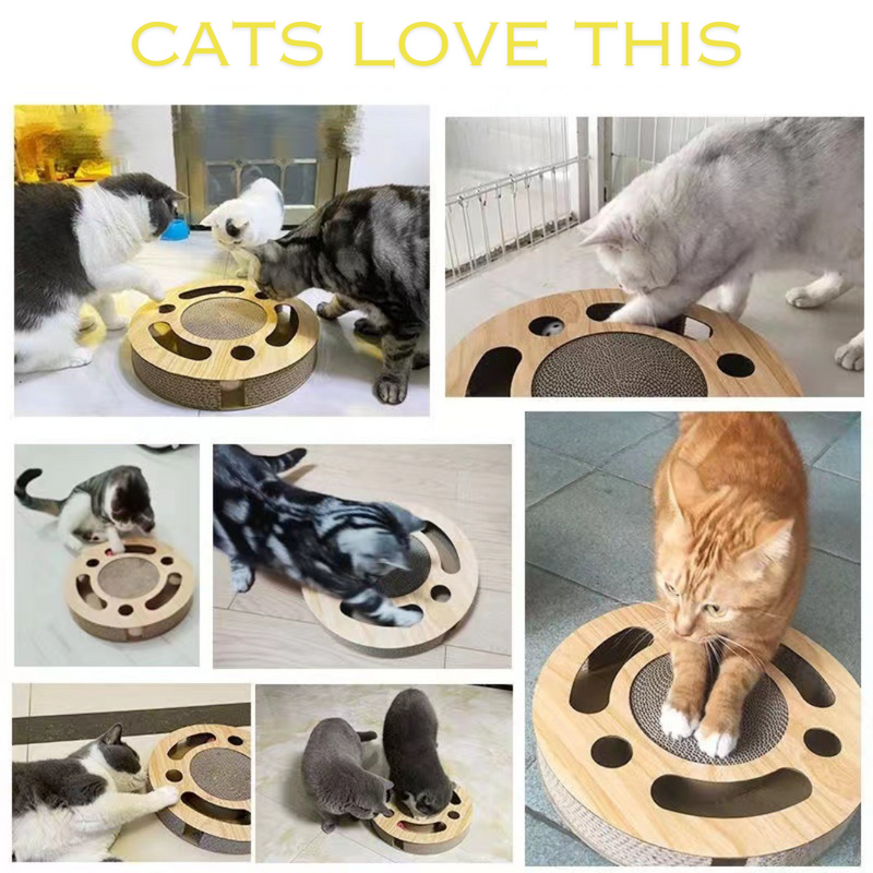 Interactive Maze & Scratch Cardboard Cat Toys
