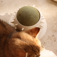 Cat Self Groomer Catnip Ball Licking Toys