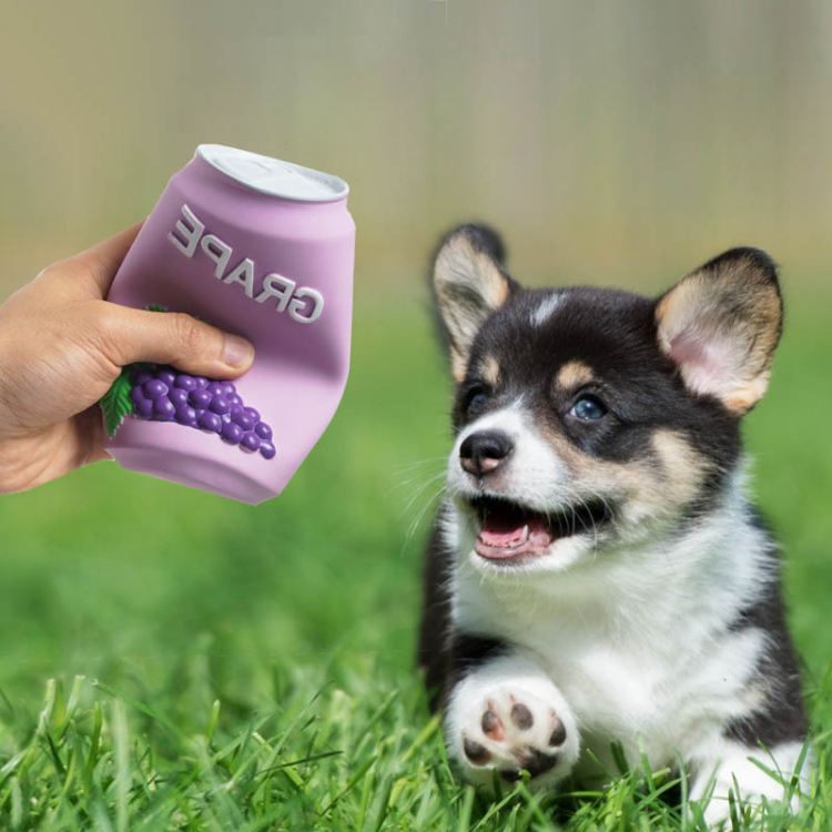 Quietschspielzeug für Hunde, Getränkedosen-Flaschenform